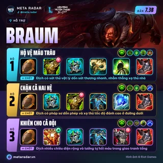 Braum · Hỗ Trợ · 3 bộ trang bị · 7.3b · 17/10/2026